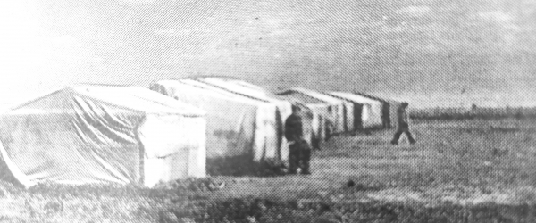 В семье целинной