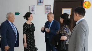 Рабочий визит