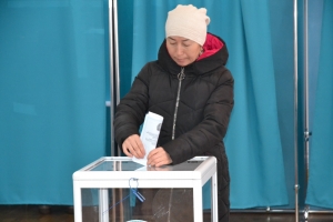 как проходит процесс голосования