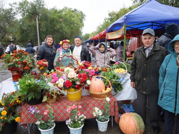 Дары осени