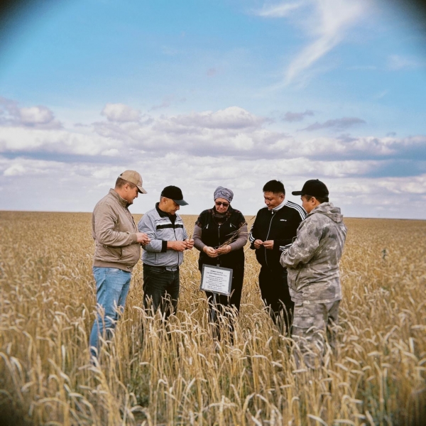 Успешный пример партнерства науки и производства на полях Жаркаинского края