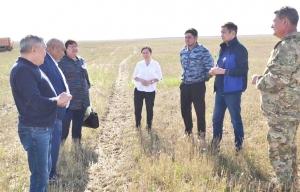 Была создана рабочая группа...