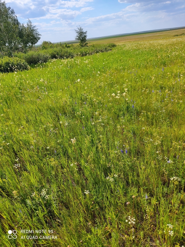 ВЫЕЗДНОЕ СОВЕЩАНИЕ