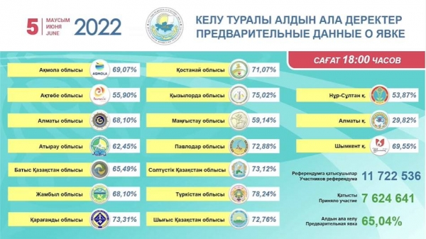 ИТОГИ ПРЕДВАРИТЕЛЬНОГО  РЕФЕРЕНДУМА