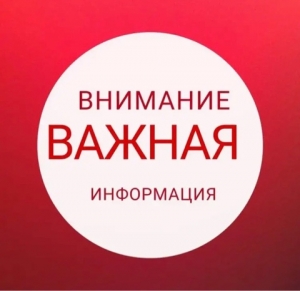 ОТСТРЕЛ БРОДЯЧИХ СОБАК НАЧАЛСЯ