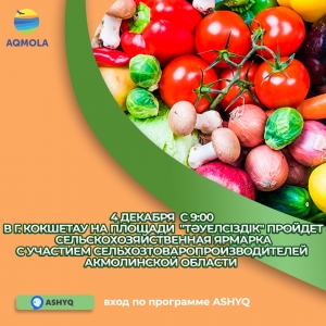ЯРМАРКА В КОКШЕТАУ